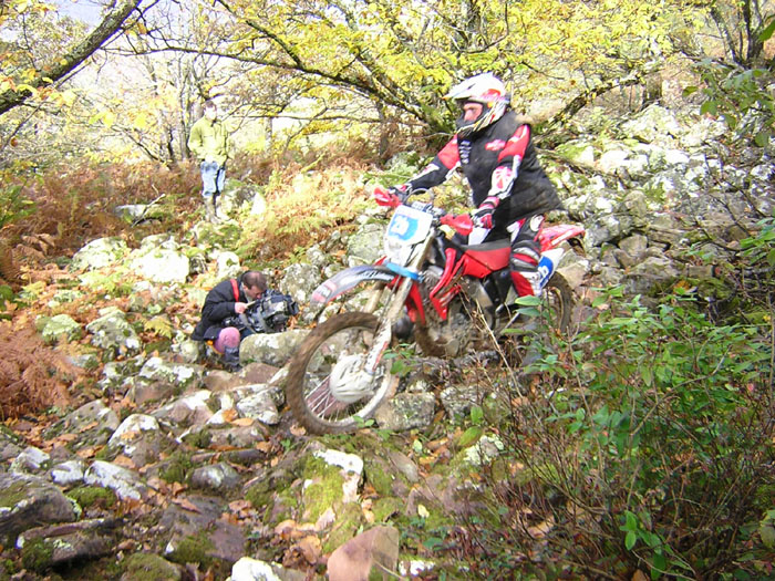SharkX 09 André